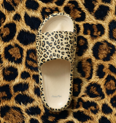 Leopard / EU 36/37 | UK 3.5/4 | US M 4.5/5 - US W 6/6.5 | AU M 3.5/4 - AU W 6/6.5 | MX 24cm
