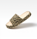 Leopard / EU 36/37 | UK 4 | US M 4.5 / US W 6.5